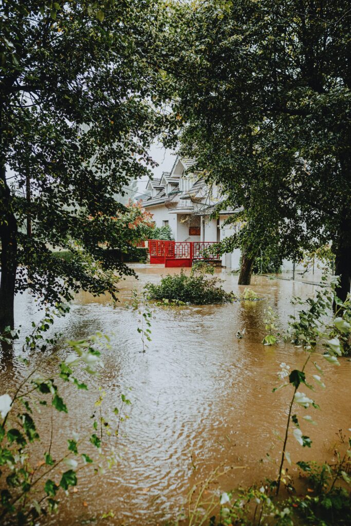 pexels-photo-28447764-28447764 A flooded suburban area with visible water damage around trees and a house.